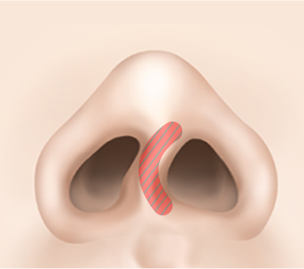 비주의 유지력을 확